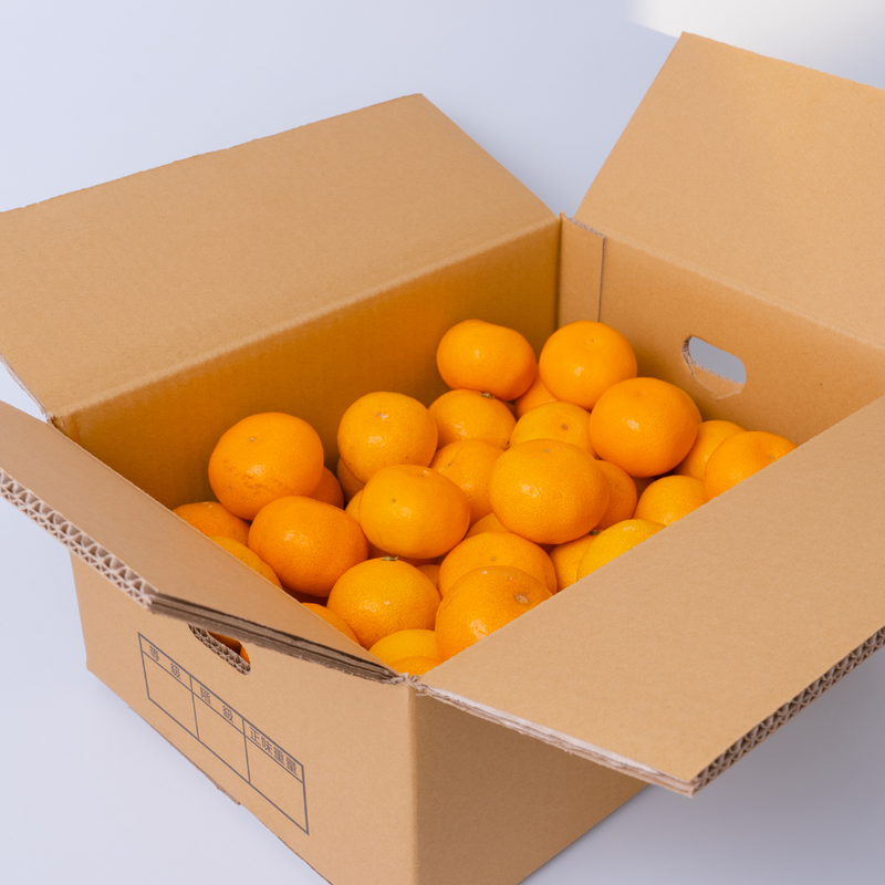 ＊送料無料＊ すたーふぃーるどの有田みかん 5Kg　【お届け日指定不可】