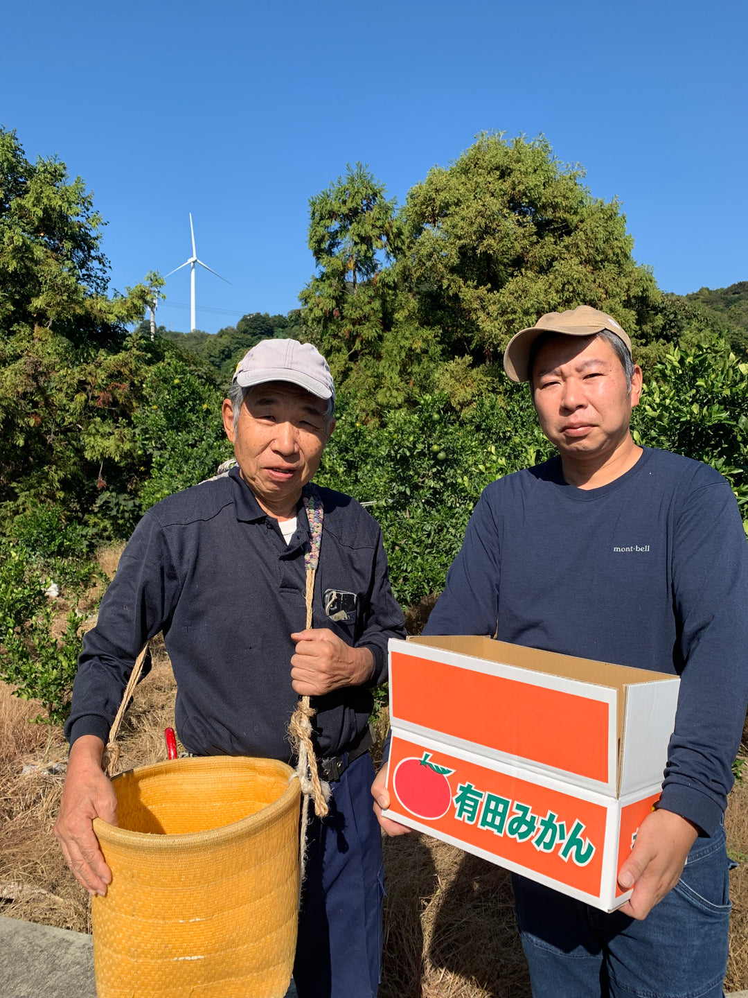 送料無料＊ きたはらさんちの有田みかん 5Kg 【お届け日指定不可